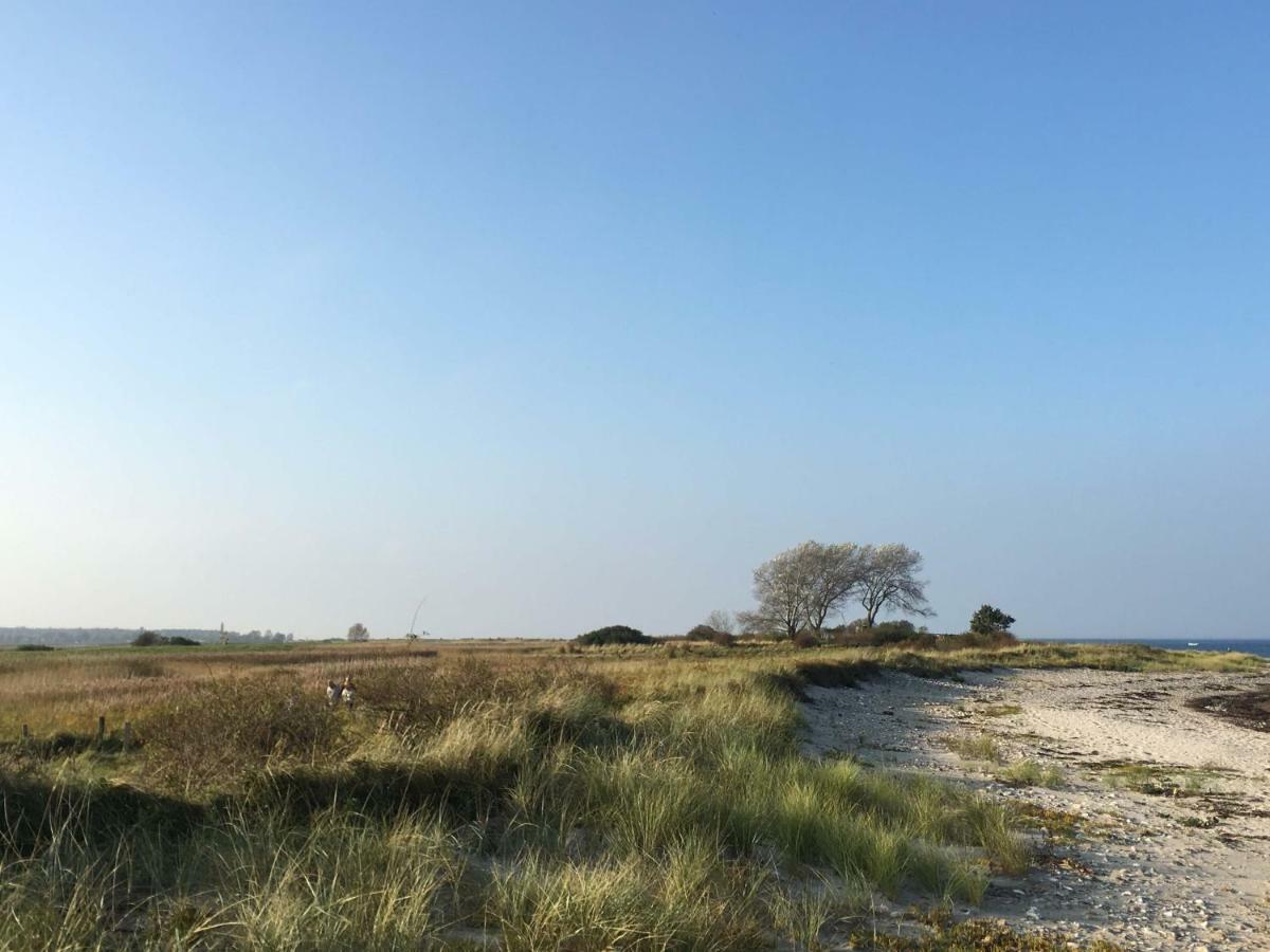 Seesucht-Hohwacht - 110Qm Fewo Mit Toller Lage Am Kiefernweg Εξωτερικό φωτογραφία